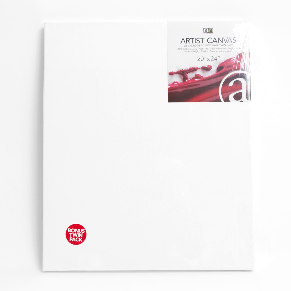 Art Advantage, Pre-Stretched, Canvas, Twin Pack, 20"x24"